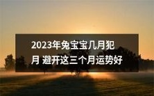2023年求子人士注意:兔宝宝几月犯月需避开,选择以下三个月能带来更好的运势!