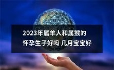 2023年属羊与属猴的夫妇进行生育计划:探讨最佳怀孕时机和宝宝出生月份的优劣 Comparison of the Optimum Timing and Birth Month for Pregnancy and Childbirth among Sheep and Monkey Couples in 2023