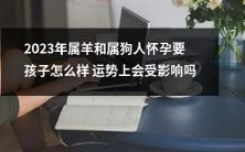属羊和属狗人在2023年怀孕生育,其运势是否会受到影响?