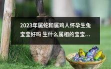 2023年属蛇和属鸡人的孕妇是否适合生兔宝宝?若非此属相,生什么属相的宝宝更佳呢?