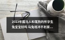 2023年属马与属狗配对:调和马兔相冲对于宝宝健康成长和家庭幸福的影响真的如传说那样吗?