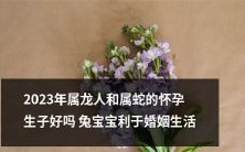 2023年属龙和属蛇的夫妇怀孕生子对婚姻生活的积极影响:探讨兔宝宝的潜力