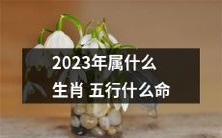 2023年是什么生肖?五行属性属于哪种命格?