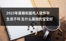 2023年属猴和属鸡人是否有生育可能?他们能生产什么属相的宝宝最好?