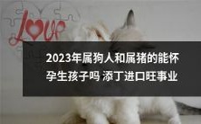 狗年和猪年出生的人在2023年是否有可能怀孕生子,从而实现家庭扩张和事业进展