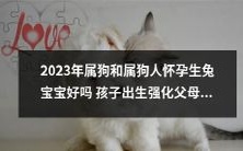 2023年属狗的人怀孕生兔宝宝是否能够增强父母的运势并带来好运?