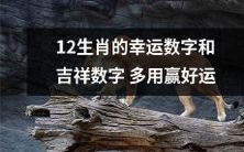 12生肖的吉祥数字与幸运数字多被应用于带来好运成功的方法当中