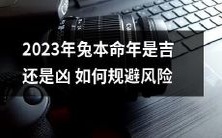 在2023年兔本命年,你该如何规避风险,以确保吉祥顺利?