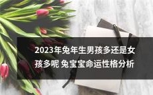 2023年兔年生男孩还是女孩更多?揭秘兔宝宝命运与性格的综合分析