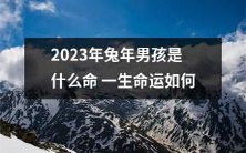 探寻2023年兔年出生男孩的命运,挖掘藏在生肖属相中的吉凶福祸与人生道路上的可能轨迹!