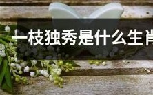 什么生肖拥有“一枝独秀”的意象?