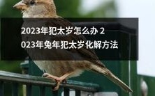 如何化解2023年兔年犯太岁的厄运:全面解析2023年犯太岁的应对策略与做法!