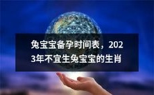 2023年不适宜生肖为兔宝宝的预备孕时间表建议:兔宝宝备孕计划指南