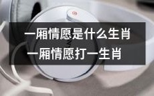 换个角度看,能否从猜谜到探究性格,一厢情愿能暴露哪些生肖的特质?