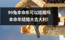 在本命年的99兔能否结婚?若结婚,会带来何等的好运?