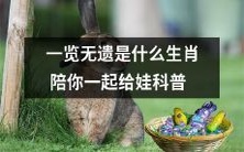 一起了解一览无遗的十二生肖,选择最适合宝宝的陪伴者进行科普!