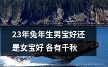 在兔年降生的宝宝,男孩和女孩各有千秋:探讨23年间生男生女的区别