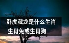 卧虎藏龙:探寻其中蕴含的神秘意义,是属于生肖兔还是生肖狗呢?