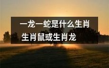 究竟是什么生肖,一龙一蛇的身份到底是生肖鼠还是生肖龙?