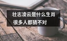 大胆猜测:壮志凌云背后藏着一个让很多人猜错的神秘生肖