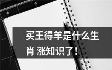 通过买王得羊来涨知识:探究生肖羊与中国文化的关系!