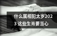 2023年哪些属相会遭遇太岁冲击并需注意预防的生肖列表