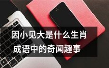 探究因小见大生肖成语中的奇闻趣事,揭秘其中蕴含的文化内涵和历史渊源