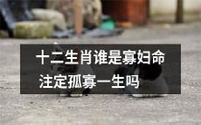 在十二生肖中,是否存在注定孤寡一生的“寡妇命”?