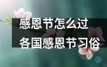 探寻全球感恩节习俗:如何度过感恩节的这个节日?