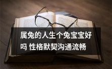 属兔的人和兔宝宝相处会更默契,性格相似,沟通流畅,这样的交流方式是否更加美好?