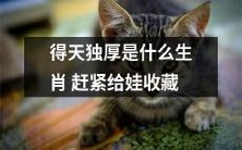 哪些生肖享有得天独厚的好运气,为孩子留存这些幸运星座!