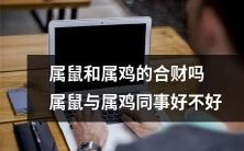 属鼠与属鸡的合作能否带来良好的财务效益?在职场中,属鼠和属鸡的共事关系是否具备良好的合作性?
