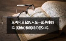 对于属鼠和属鸡的人而言,共事是否顺利?他们是否会发生犯冲现象?