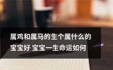 当属鸡和属马的夫妻生下属什么的宝宝,这个宝宝将会是一个怎样的好宝宝?他/她的一生命运又将会如何?