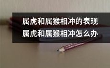 如何应对属虎和属猴相冲的挑战:探讨属虎和属猴相冲的表现及其解决方法