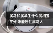在中国的传统文化中,“属马和属羊生什么属相宝宝好谁能压住属马人”这个问题一直备受关注。那么,究竟哪些生肖的宝宝最为适合属马和属羊的父母呢?另外,对于那些认为属马人充满活力和热情,却又难以压制他们的人,该如何处理这种情况呢?