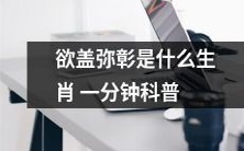 欲盖弥彰的生肖是什么?快速理解一分钟科普!