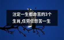 沉沦命途注定,任劳任怨苦役生涯——揭秘三个注定命途多舛的生肖