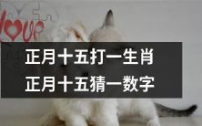 在农历正月十五,猜测一个数值并匹配相应的生肖:挑战自己的智力和运气!