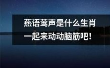 一起猜猜燕语莺声是属于哪个生肖,调动你的智慧与想象!