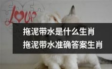 经过较为深入的探究,可以详细获知拖泥带水所对应的生肖何种,确保准确无误