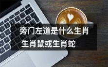 旁门左道中的“生肖鼠”与“生肖蛇”:它们到底代表了什么意思?