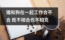 猪和狗共同劳动的结合与对立之间既非融合互相适应,也非互为对立不相容