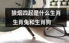 狼烟四起!揭秘生肖兔和生肖狗的遭遇与应对之策!