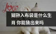 你能根据“猢狲入布袋”猜测出对应的生肖吗?