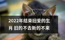2022年,划清界限说再见,结束旧爱的生肖,让旧的不再拖累,新的不再迟到!