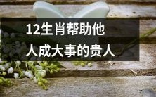 探究12生肖如何成为助人成大事的宝贵贵人之路