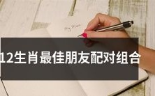 探讨12生肖之间最佳朋友配对组合,找到最合适的人陪你度过人生!