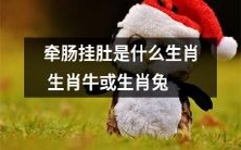 牵肠挂肚是哪些生肖中的牛或兔产生的情感体现?