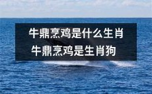 牛鼎烹鸡之生肖疑云解答:原来它是生肖狗!